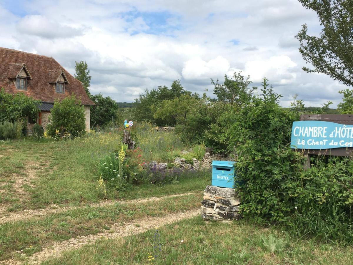 Le Chant du Coq Lacave  Extérieur photo
